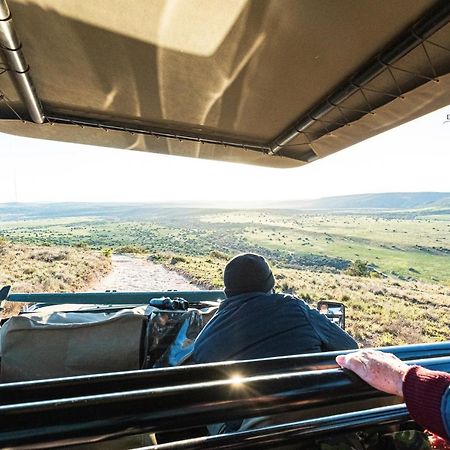 Leeuwenbosch Country House - Amakhala Game Reserve Exterior foto