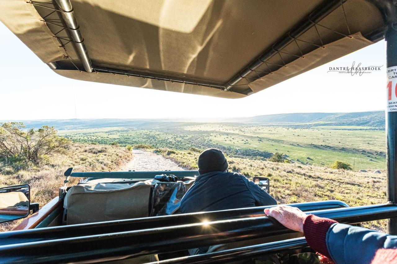 Leeuwenbosch Country House - Amakhala Game Reserve Exterior foto