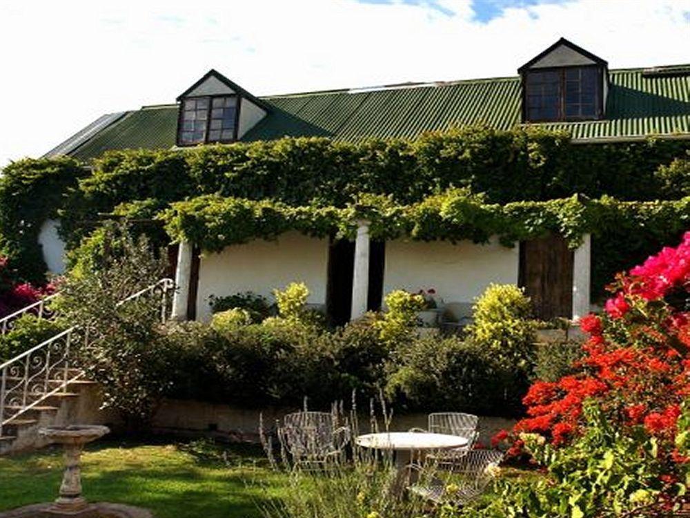 Leeuwenbosch Country House - Amakhala Game Reserve Exterior foto