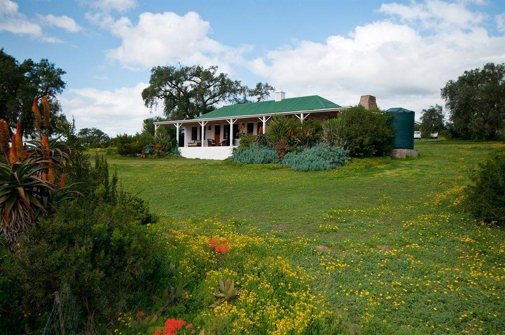 Leeuwenbosch Country House - Amakhala Game Reserve Exterior foto