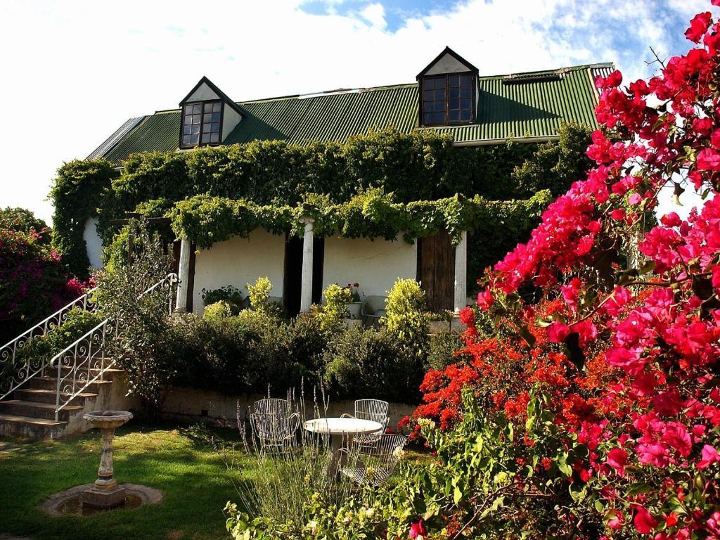 Leeuwenbosch Country House - Amakhala Game Reserve Exterior foto