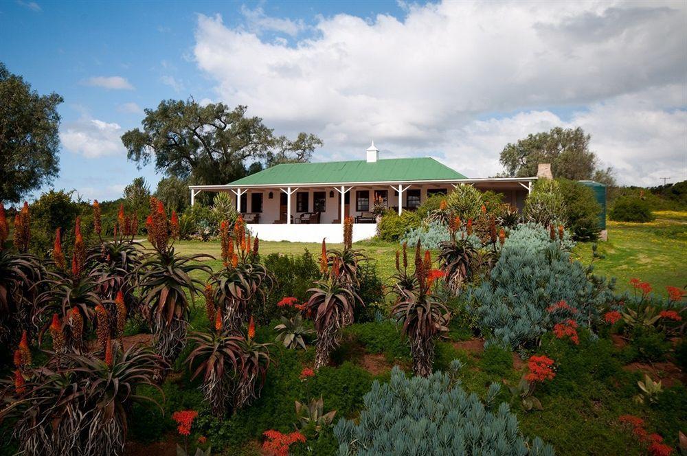 Leeuwenbosch Country House - Amakhala Game Reserve Exterior foto