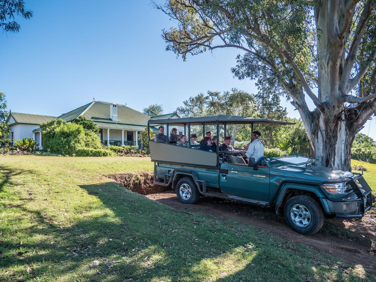 Leeuwenbosch Country House - Amakhala Game Reserve Exterior foto