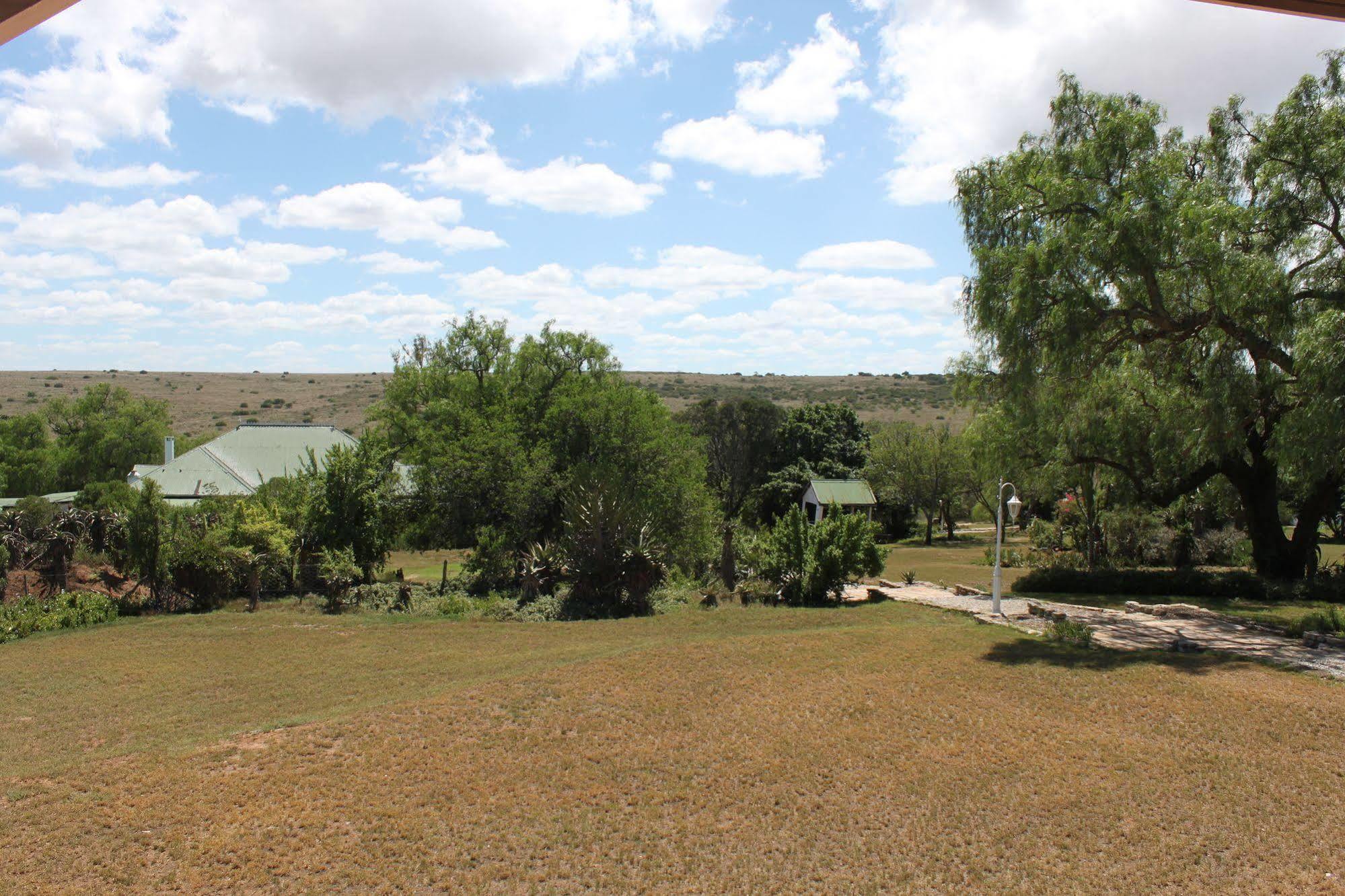 Leeuwenbosch Country House - Amakhala Game Reserve Exterior foto