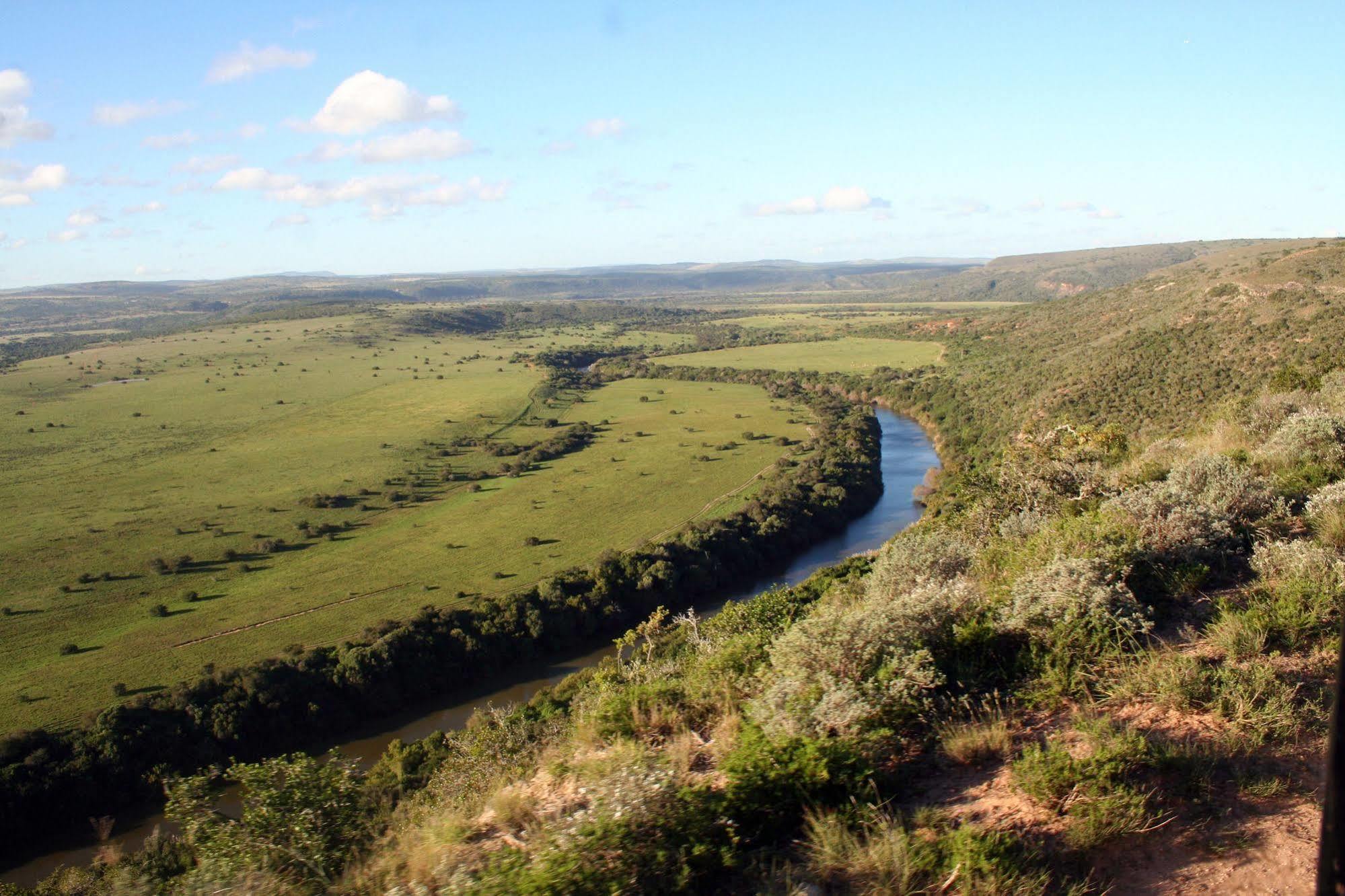 Leeuwenbosch Country House - Amakhala Game Reserve Exterior foto
