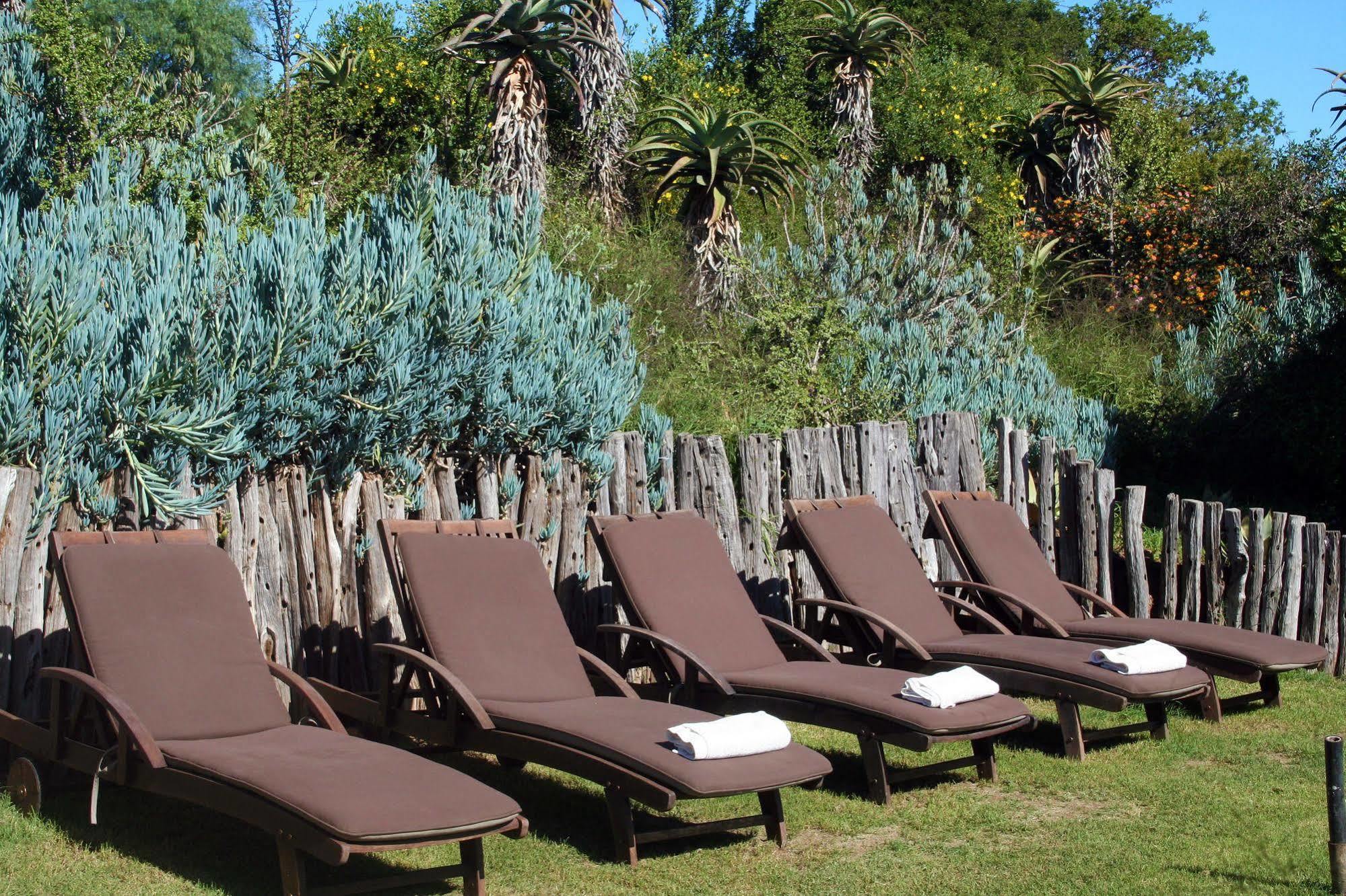 Leeuwenbosch Country House - Amakhala Game Reserve Exterior foto