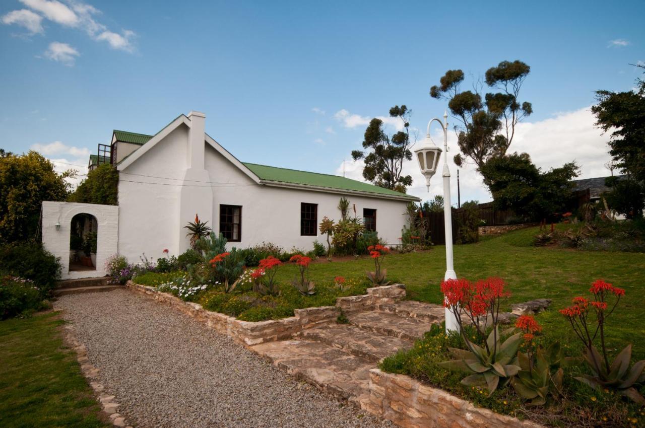 Leeuwenbosch Country House - Amakhala Game Reserve Exterior foto