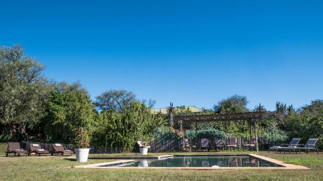 Leeuwenbosch Country House - Amakhala Game Reserve Exterior foto